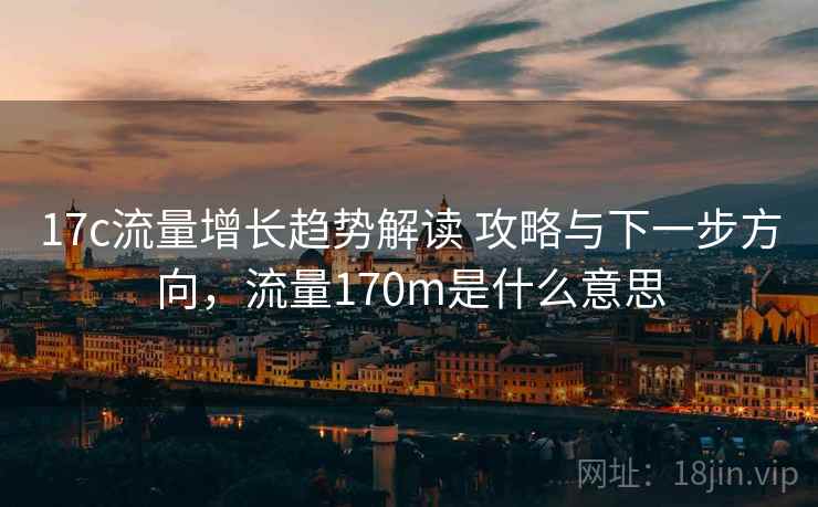 17c流量增长趋势解读 攻略与下一步方向，流量170m是什么意思