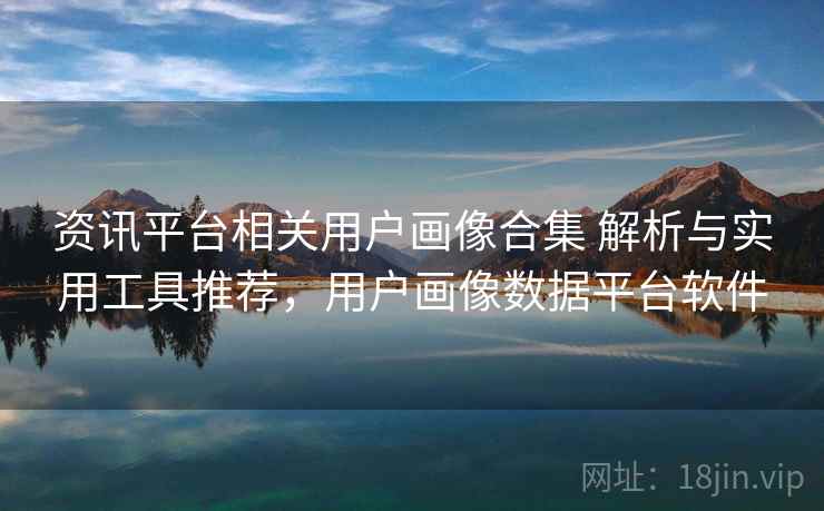 资讯平台相关用户画像合集 解析与实用工具推荐，用户画像数据平台软件