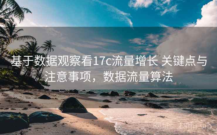 基于数据观察看17c流量增长 关键点与注意事项，数据流量算法