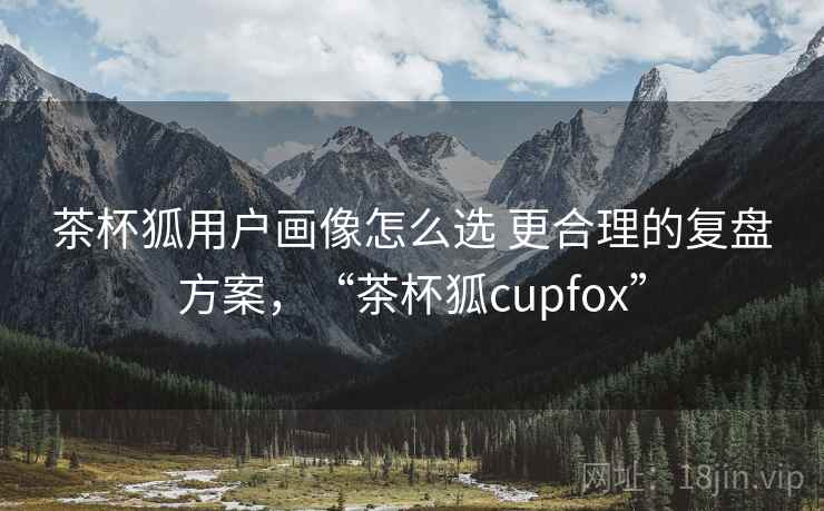 茶杯狐用户画像怎么选 更合理的复盘方案，“茶杯狐cupfox”