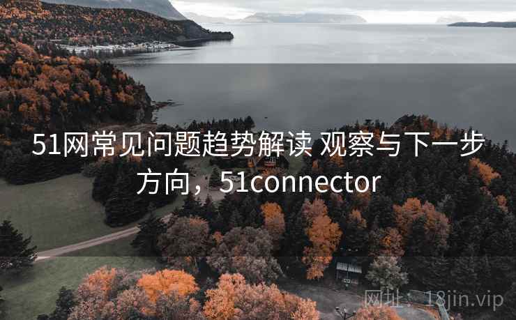 51网常见问题趋势解读 观察与下一步方向，51connector