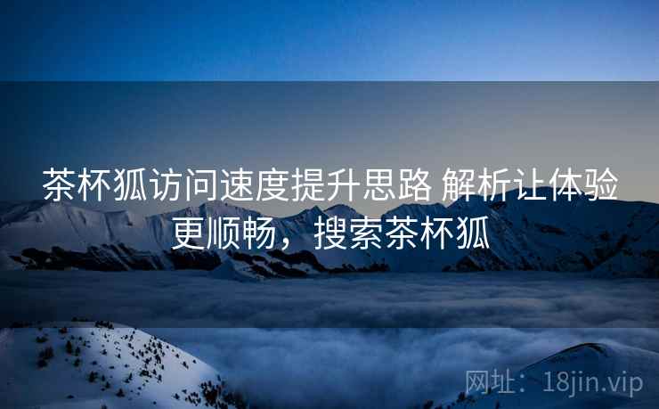 茶杯狐访问速度提升思路 解析让体验更顺畅，搜索茶杯狐