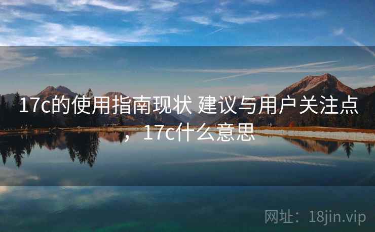 17c的使用指南现状 建议与用户关注点，17c什么意思
