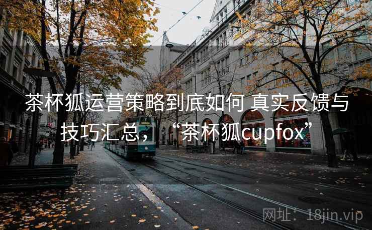 茶杯狐运营策略到底如何 真实反馈与技巧汇总，“茶杯狐cupfox”