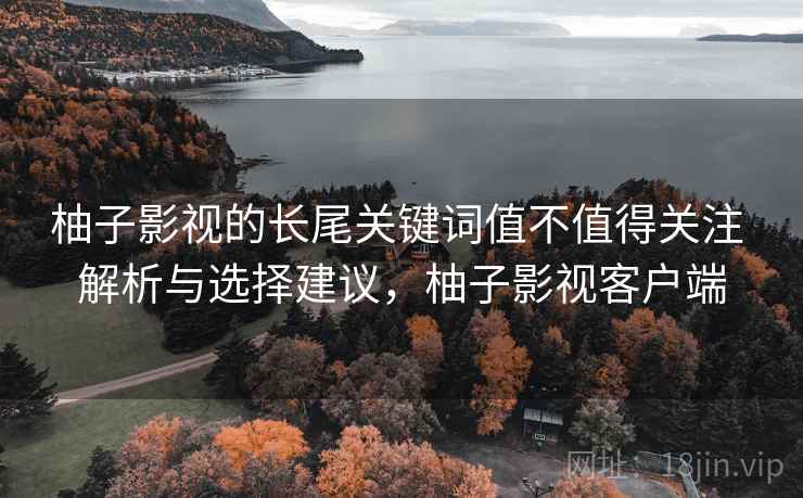 柚子影视的长尾关键词值不值得关注 解析与选择建议，柚子影视客户端