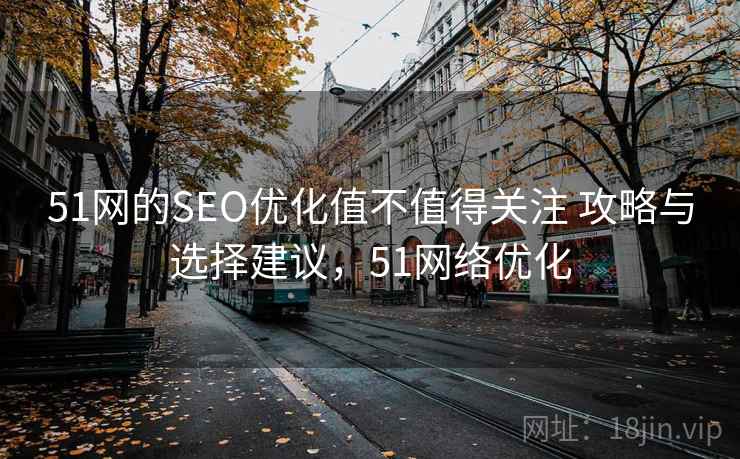 51网的SEO优化值不值得关注 攻略与选择建议，51网络优化