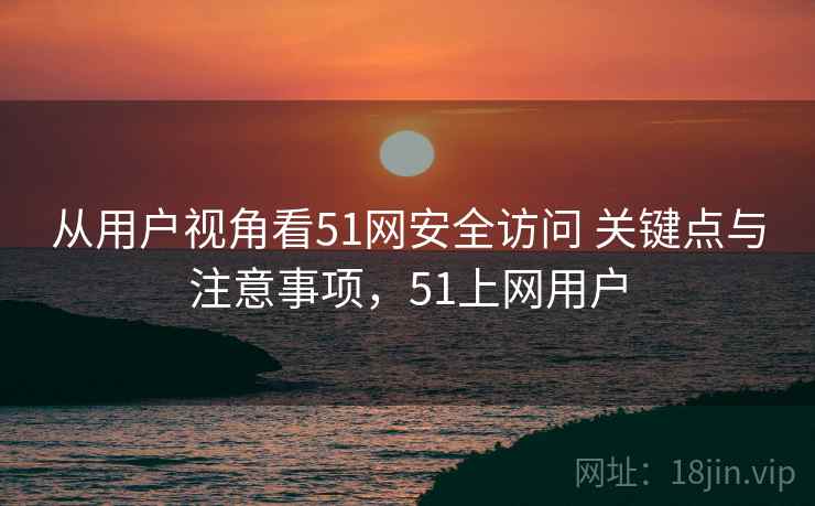 从用户视角看51网安全访问 关键点与注意事项，51上网用户